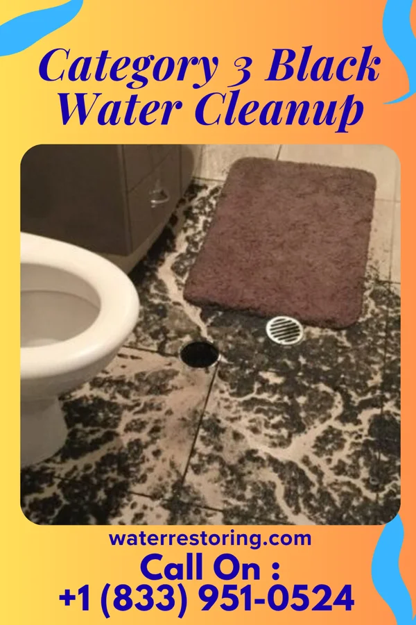 Category 3 Black Water Cleanup in Spokane Valley, WA