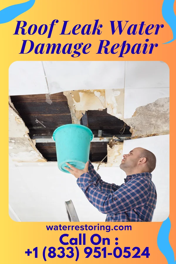 Roof Leak Water Damage Repair in Spokane Valley, WA