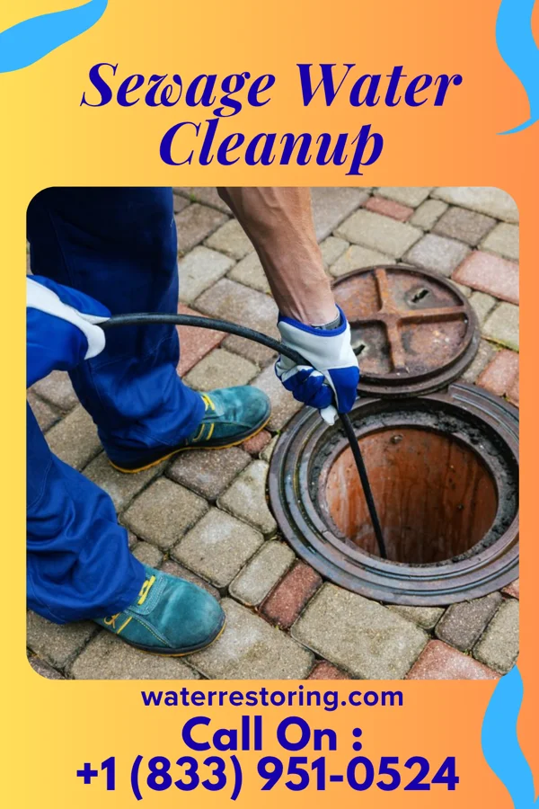 Sewage Water Cleanup in Spokane Valley, WA